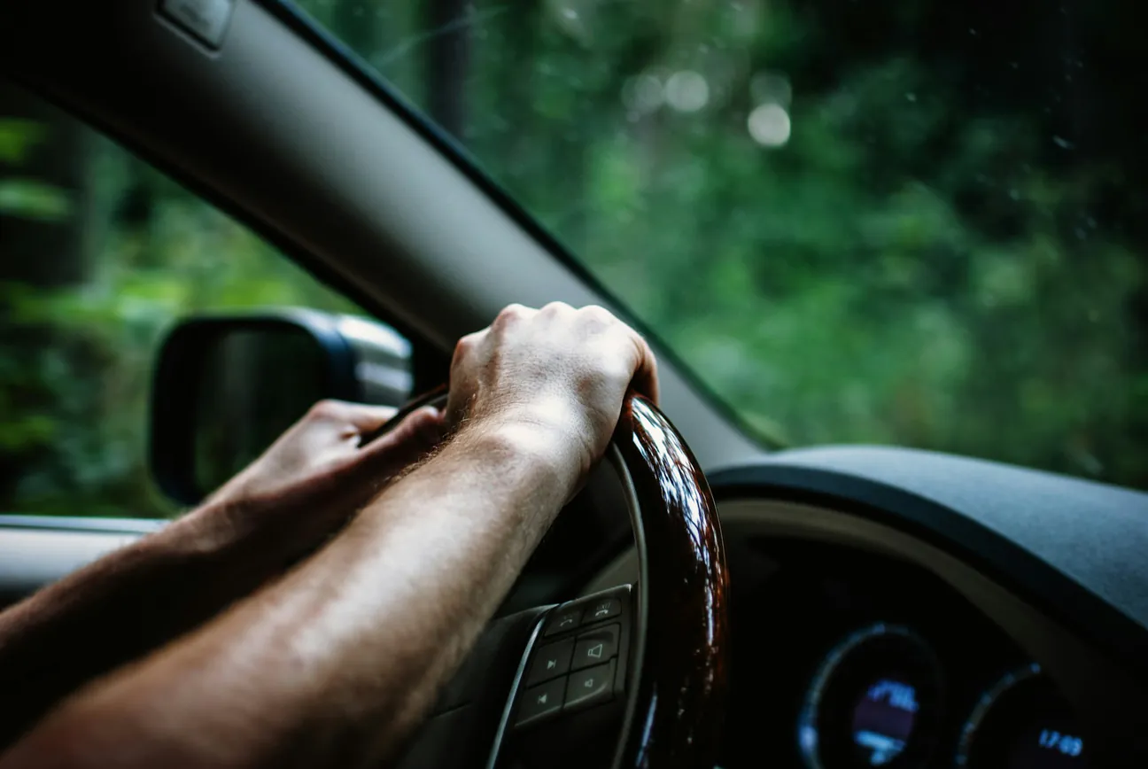 Steering and Suspension Control hands on the steering wheel staying in control on a tree-lined road